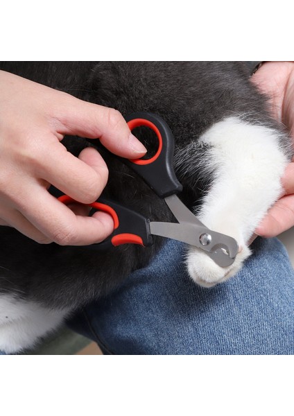 Gök Mavisi 1 Adet Evcil Hayvan Tırnak Makası Köpek Kedi Tırnak Pençe Bakım Makası Evcil Hayvan Tırnak Makası Giyotin Malzemeleri Köpek Kedi Kuş Tavşan Evcil Hayvan Gargets (Yurt Dışından) modelleri