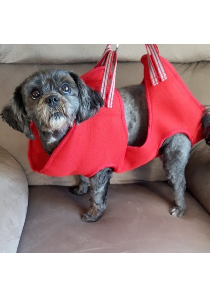 Kırmızı Set L Yavru Köpekler Bakım Hamak Pet Kırpma Yardımcısı Köpek Hamak Kısıtlama Çantası Tırnak Makası/düzeltici Tırnak Dosya Kulak Bakım Malzemeleri (Yurt Dışından) modelleri