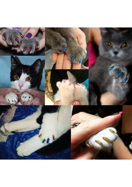 Mavi Glitter 20 Adet S 20 Adet Yeni Moda Renkli Kedi Tırnak Kapakları Yumuşak Kedi Pençe Yumuşak Paws 20 Adet/grup Yapışkan Tutkal ile Boyut Xs S M Lgift Evcil Hayvan Için (Yurt Dışından) modelleri