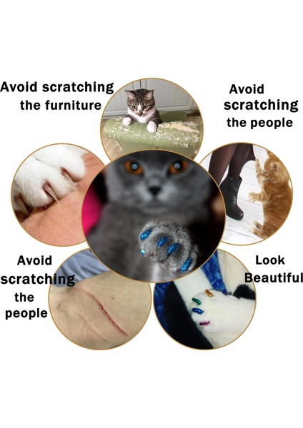 Mavi Glitter 20 Adet S 20 Adet Yeni Moda Renkli Kedi Tırnak Kapakları Yumuşak Kedi Pençe Yumuşak Paws 20 Adet/grup Yapışkan Tutkal ile Boyut Xs S M Lgift Evcil Hayvan Için (Yurt Dışından) fırsatları