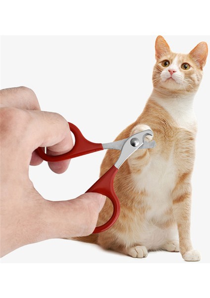 Tırnak Törpüsü-Gri Evcil Hayvan Bakım Ürünleri Pet Kedi Köpek Tırnak Makası Tırnak Törpüsü Pet Köpek Tırnak Makası Ayak Pençesi Giyotin Profesyonel Yavru Kedi Malzemeleri (Yurt Dışından)
