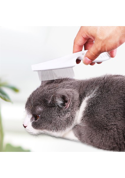 Pet Saç Tarak M Pet Saç Dökülme Tarak Paslanmaz Çelik Pire Tarak Kedi Köpek Için Pet Konfor Pire Saç Bakım Tarağı Köpek Kedi Kürk Temizleme Fırçası (Yurt Dışından) fırsatları