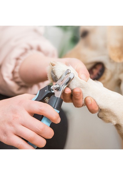Stil 3 Profesyonel Kedi Köpek Tırnak Makası Bakım Makası Paslanmaz Çelik Makaslar Evcil Hayvan Pençeleri Tırnak Makası Emek Tasarrufu Sağlayan Malzemeler (Yurt Dışından) fırsatları