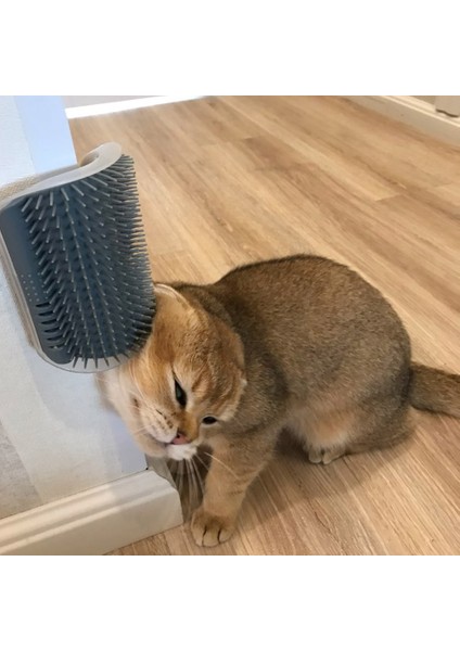 Mavi Kedi Köşe Masaj Fırçası Kedi Tırmalama Cihazı Kedi Yüzünü Kaşıntılı Bir Tarakla Silin (Yurt Dışından)