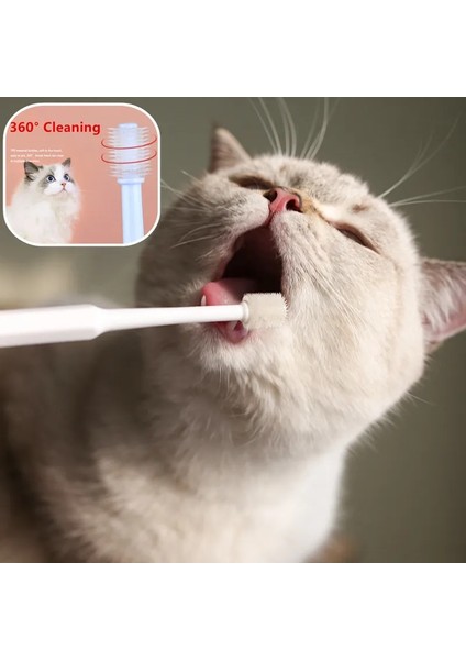 Mavi Kedi Diş Fırçası Yumuşak Saç Fırçası Kediler Için Ağız Temizleme Kedi Fırçası Diş Temizleme Pet Bakım Kediler Diş Fırçası Evcil Hayvan Ürünleri (Yurt Dışından)