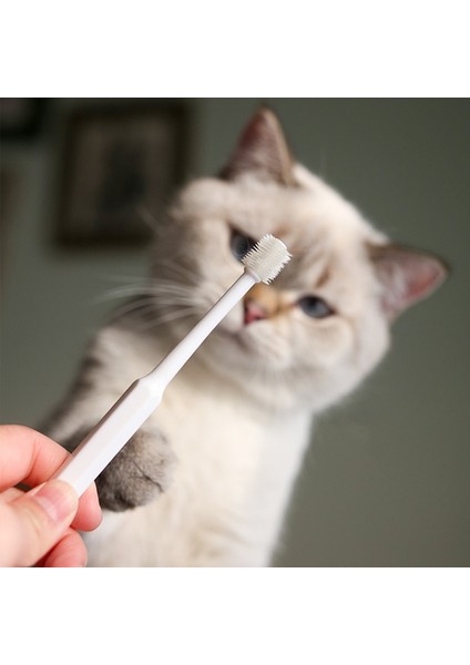 Mavi Kedi Diş Fırçası Yumuşak Saç Fırçası Kediler Için Ağız Temizleme Kedi Fırçası Diş Temizleme Pet Bakım Kediler Diş Fırçası Evcil Hayvan Ürünleri (Yurt Dışından)
