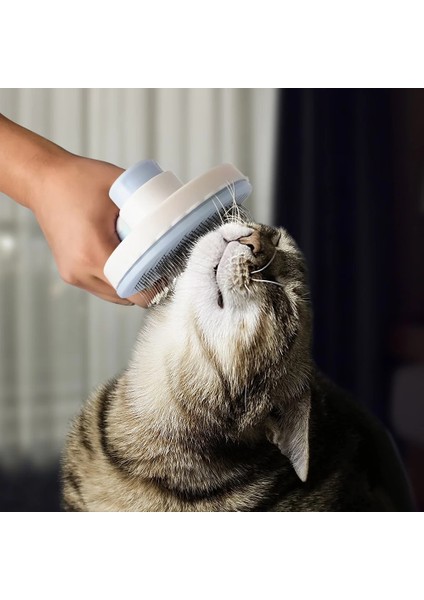 Yeşil Ayı Kedi Saç Fırçası Pençe Şekli Kendini Temizleyen Pet Bakım Aracı Kısa Masaj Kazıyıcı Sökücü Köpekler Saç Dökülme Tarak Yavru Aksesuarları (Yurt Dışından) modelleri