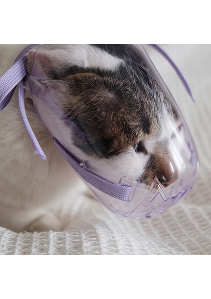 Mor S Kedi Namlu Köpekler Kediler Ayarlanabilir Nefes Alabilir Anti Bite Ağızlıklar Maske Kedilerin Ve Çiğnemelerini Evcil Hayvan Bakım Malzemeleri (Yurt Dışından) indirimleri
