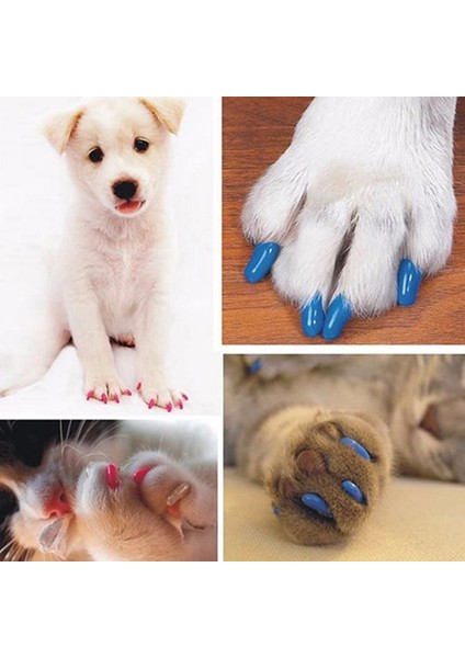 Mavi L 20 Adet Silikon Yumuşak Kedi Tırnak Kapağı Kedi Paw Pençe Evcil Tırnak Koruyucusu Kedi Tırnak Kapak Evcil Tırnak Koruyucusu Yavru Kedi Evcil Ürünleri (Yurt Dışından) fırsatları