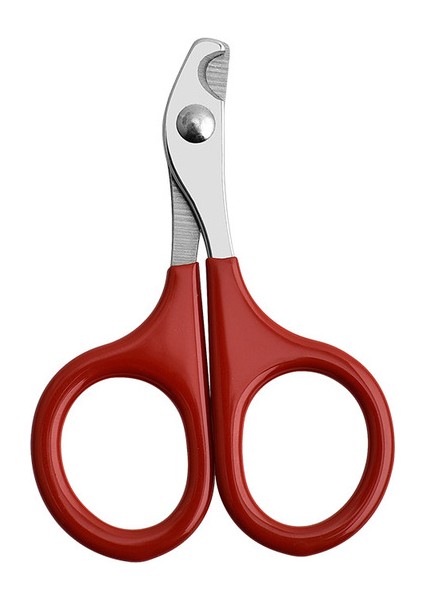 Küçük Kırmızı Yeni Köpek Tırnak Makası Paslanmaz Çelik Evcil Hayvan Tırnak Makası Profesyonel Tırnak Makası Kedi Makas Kesiciler 1 Adet (Yurt Dışından)