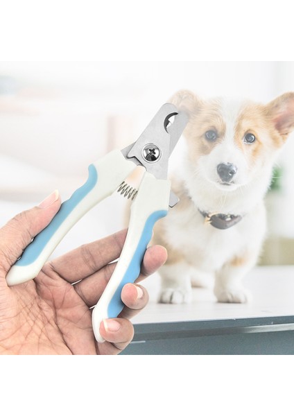 Küçük Kırmızı Yeni Köpek Tırnak Makası Paslanmaz Çelik Evcil Hayvan Tırnak Makası Profesyonel Tırnak Makası Kedi Makas Kesiciler 1 Adet (Yurt Dışından) modelleri