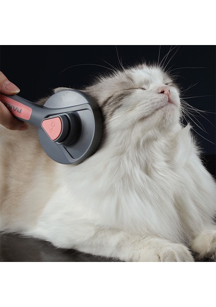 Sarı Kedi Tarak Köpek Saç Çıkarıcı Fırça Pet Bakım Slicker Iğne Tarak Karışık Kendini Temizleyen Pet Malzemeleri Aksesuarları Kaldırır (Yurt Dışından) modelleri