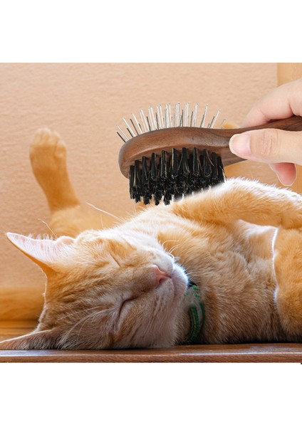 6 Parçalı Set Pet Kedi Köpek Tarak Sökücüler Düğüm Kesici Saç Damat Fırça Bakım Seti Kova Köpek Kedi Ahşap Saplı Düzeltici Bıçak Pet Aksesuarla (Yurt Dışından) indirimleri