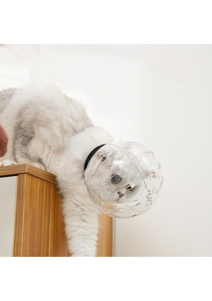 L Kedi Bakım Aksesuarları Anti-Isırık Namlu Nefes Maske Anti-Yalama Uzay Kaput Maskesi Kapak Namlu Kedi Banyo Bakım Malzemeleri (Yurt Dışından) modelleri