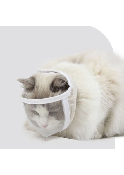 20-25 Cm Şeffaf Pvc Nefes Kedi Namlu Köpekler Kediler Banyo Bakım Çantası Anti Bite Köpek Yavru Kedi Ağızlıklar Maske Pet Malzemeleri (Yurt Dışından) modelleri