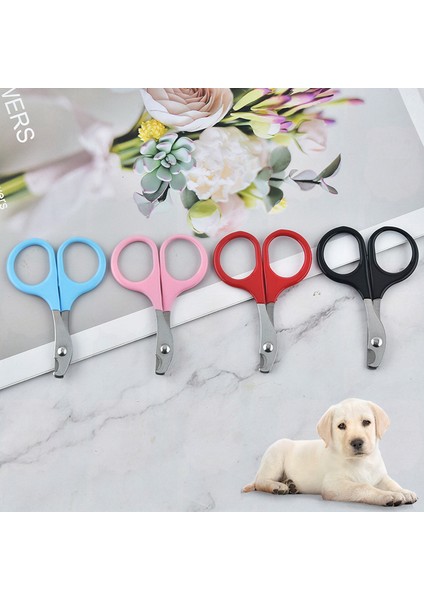 Mavi Profesyonel Yavru Pençeleri Kedi Tırnak Makası Küçük Köpek Kedi Kesici Evcil Hayvan Çivi Makası Bakım Bakım Kedi Aksesuarları (Yurt Dışından) fiyatları