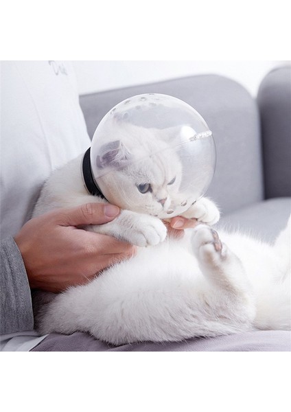 Küçük S/L Kedi Şeffaf Namlu Nefes Kafa Hood Ayarlanabilir Yavru Astronot Kask Agresif Kedi Çiğneme Bakımı (Yurt Dışından) fırsatları