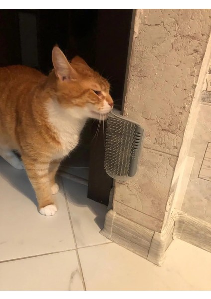 Kahve Pet Tarak Kedi Fırça Köşe Kedi Masaj Kendini Damat Gıdıklama Tarak Fırça Catnip Ovmak Epilasyon Evcil Hayvan Bakım Temizlik Malzemeleri (Yurt Dışından)