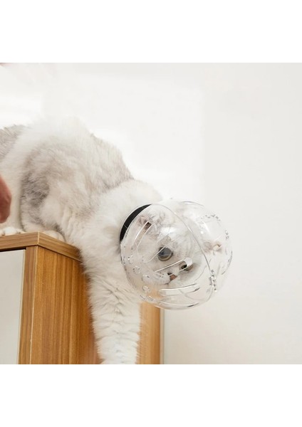 M Kedi Bakım Aksesuarları Anti-Isırık Namlu Nefes Maske Anti-Yalama Uzay Kaput Maskesi Kapak Namlu Kedi Banyo Bakım Malzemeleri (Yurt Dışından)