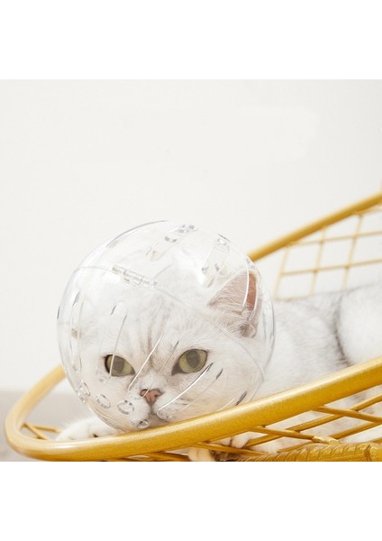 M Kedi Bakım Aksesuarları Anti-Isırık Namlu Nefes Maske Anti-Yalama Uzay Kaput Maskesi Kapak Namlu Kedi Banyo Bakım Malzemeleri (Yurt Dışından)