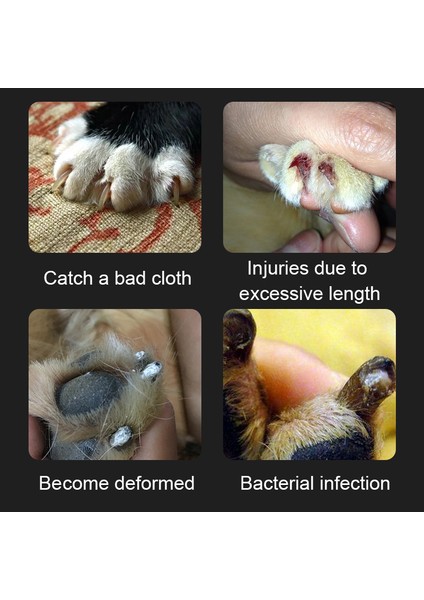 Kırmızı L S/l Paslanmaz Çelik Pet Emek Tasarrufu Sağlayan Tırnak Makası Profesyonel Evcil Hayvan Tırnak Makası Köpek Kedi Uygun Güzellik Temizlik Malzemeleri (Yurt Dışından) indirimleri