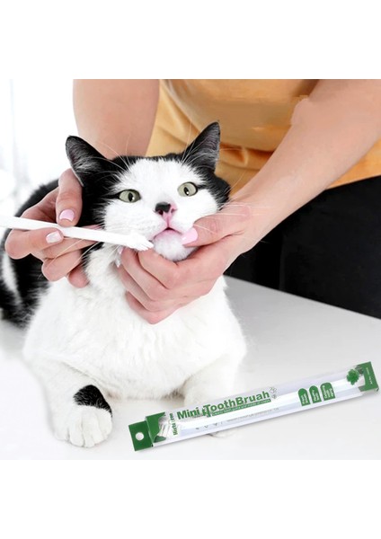 Yeşil Pet Diş Fırçası Tek Kafa Diş Fırçası Kedi Diş Fırçası Pet Ağız Temizleme Diş Fırçası Kedi ve Köpek Ağız Temizleme Carekitty Diş Fırçası (Yurt Dışından)
