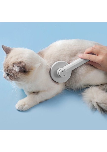 Koyu Mavi 20X7.5 cm Pet Kedi Fırça Köpek Tarak Kendi Kendini Temizleyen Slicker Fırça Kedi Köpek Saçları Karışık Evcil Hayvan Saç Masaj Tarak Kediler Aksesuarları Kaldırır (Yurt Dışından) indirimleri