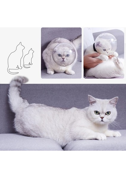 4 Pcs Kedi Ayak Koruyucu Anti-Isırık Namlu Kedi Banyo Bakım Malzemeleri Nefes Alabilir Maske Anti-Yalama Uzay Kaput Maskesi Kapak Namlu Kedi Bakım Aksesuarları (Yurt Dışından) fiyatları