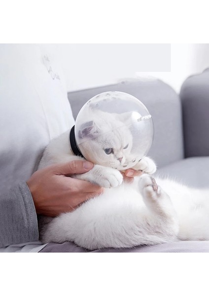 4 Pcs Kedi Ayak Koruyucu Anti-Isırık Namlu Kedi Banyo Bakım Malzemeleri Nefes Alabilir Maske Anti-Yalama Uzay Kaput Maskesi Kapak Namlu Kedi Bakım Aksesuarları (Yurt Dışından) modelleri