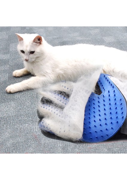 Gül Sol Resim Olarak Kediler Köpekler Için Evcil Hayvan Bakım Eldivenleri Banyo Eldiveni Fırçalar Masaj Kabağı Scrubber Vücut Wa Mascotas Accesorios Gatos Kedi Sphynx Kitten (Yurt Dışından) indirimleri