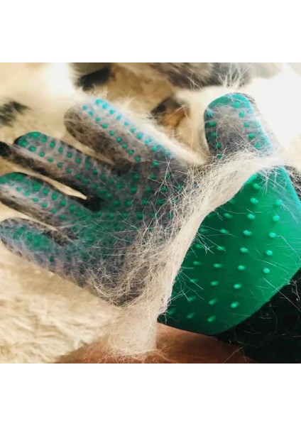 Pembe 01 Kedi Pet Bakım Fırçası Eldiven Temizleme Sırt Masajı Hayvan Banyo Epilasyon Köpek Taraklar Kedi Fırça Pet (Yurt Dışından) indirimleri