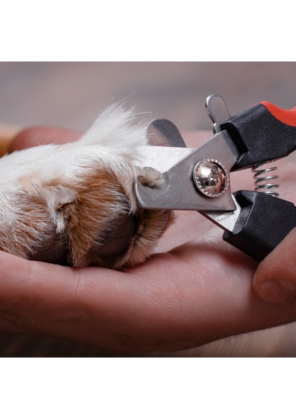 Mavi Siyah L Mosodo Profesyonel Pet Kedi Köpek Tırnak Makası Kesici Orak Paslanmaz Çelik Bakım Makası Makası Evcil Hayvan Pençeleri Köpek Kaynağı (Yurt Dışından) modelleri