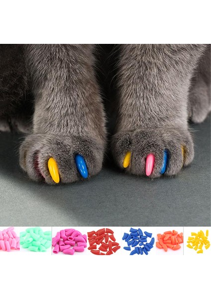 L Turuncu 20 Adet S 20 Adet Yeni Moda Renkli Kedi Tırnak Kapakları Yumuşak Kedi Pençesi Yumuşak Paws 20 Adet/Grup Yapışkan Tutkal İle Boyut Xs S M Lgift Evcil Hayvan Için (Yurt Dışından)
