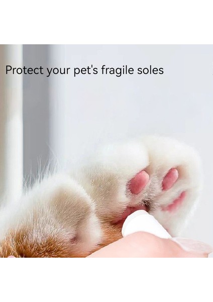 1 Adet Net Içerik 3.2G Pet Ayak Bakım Kremi Köpek Paw Nemlendirici Krem Pet Bakım Kedi Pençesi Kuruluğu K Yağ Yavru Kediler Için Zeytinyağı Aksesuarları (Yurt Dışından)