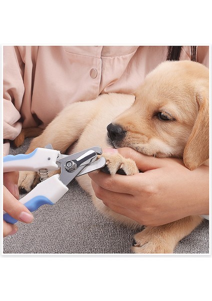 Pembe Profesyonel Evcil Hayvan Tırnak Makası Köpek Kedi Paslanmaz Çelik Iki Renkli Emek Tasarrufu Sağlayan Tırnak Makası Uygun Güzellik Temizlik Malzemeleri (Yurt Dışından) fiyatları