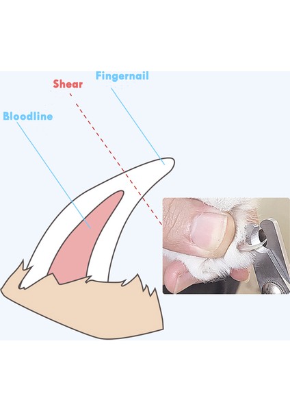 Pembe Pet Kedi Köpek Tırnak Makası Kesici Paslanmaz Çelik Bakım Makası Clippers Pençe Tırnak Makası Kilitli Pet Malzemeleri (Yurt Dışından)