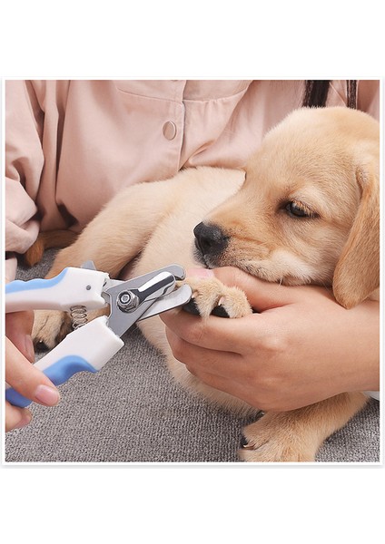 M Evcil Hayvan Tırnak Makası Çelik Emek Tasarrufu Sağlayan Köpek Kedi Tırnak Makası Giyotin Evcil Hayvan Tırnak Makası Profesyonel Evcil Hayvan Bakım Malzemeleri (Yurt Dışından) fiyatları