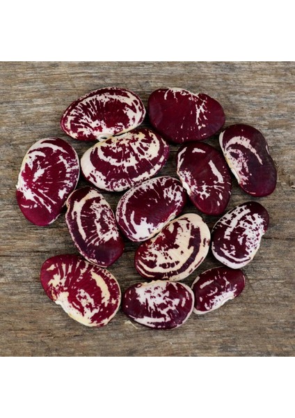 Çilli Lima Fasulyesi Tohumu Christmas Lima Bean Seeds