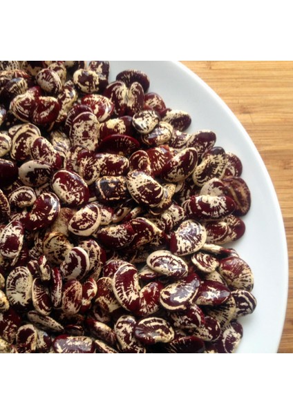 Çilli Lima Fasulyesi Tohumu Christmas Lima Bean Seeds