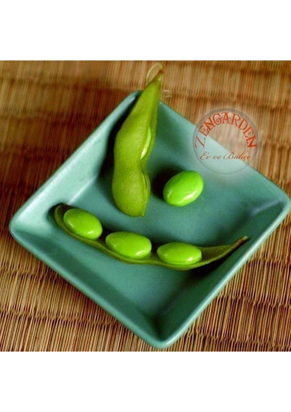 Edamame Fasulye Tohumu Besweet