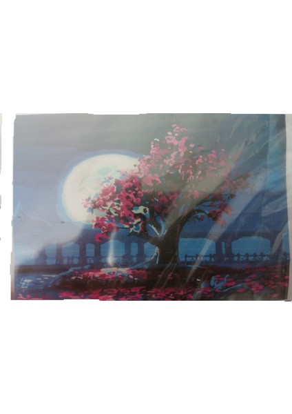 Snrbysayılarla Boyama Tuval 30 x 40 cm KapadokBoyaları ve Fırçaları