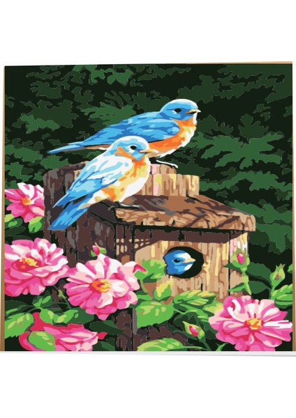 30X40 Sayılarla Boyama Seti Fırça Boya Dahil Kuşlar