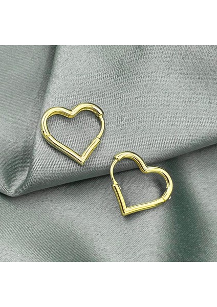 Kalp Çemberi Altın Kaplama Kadın Gümüş Küpe fiyatları