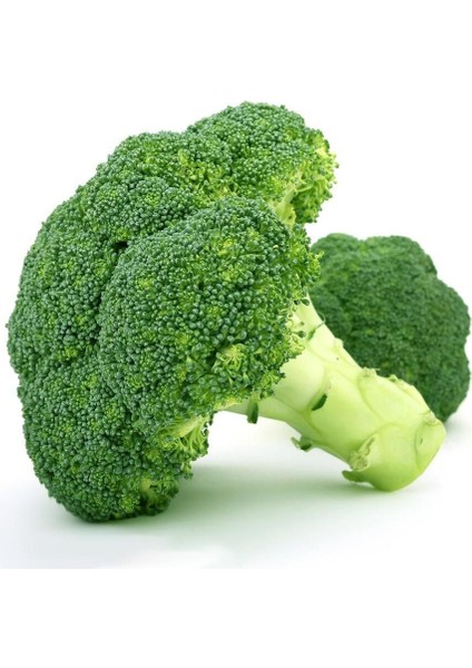 Italyan Broccoli Calabrese Erkenci Brokoli Tohumu