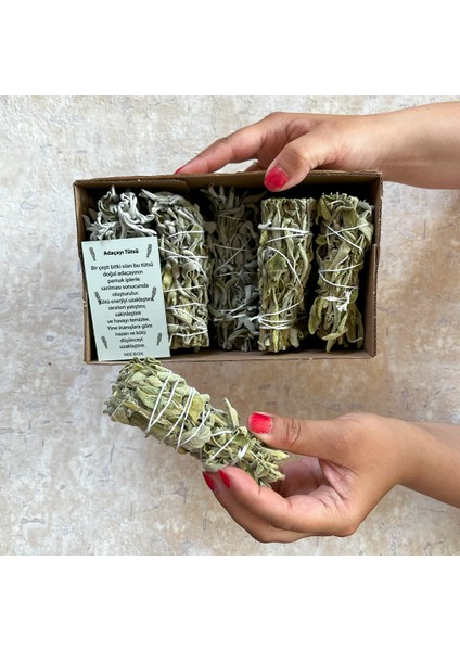 Organik Adaçayı Tütsü 5 Adet (Natural White Sage Incense, Aura Cleansing, Enerji ve Arınma Seti)