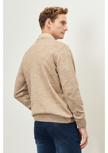 ALTINYILDIZ CLASSICS Erkek Vızon-kemık Standart Fit Normal Kesim Bisiklet Yaka Dokulu Desenli Triko Kazak fırsatları