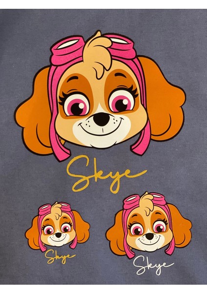 23X17 cm Ütü Ile Yapışan Köpekler Transfer Baskı Tişört Baskı Aplike