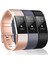 Fitbit Charge 2 ile Uyumlu 3 Paket Bant, Fitbit Charge 2 Için Klasik ve Özel Sürüm Yedek Bantlar, Kadın Erkek (Gül Altın/gri/siyah-L) (Yurt Dışından) 1