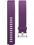 Fitbit Charge 2 ile Uyumlu 3 Paket Bant, Fitbit Charge 2 Için Klasik ve Özel Sürüm Yedek Bantlar, Kadın Erkek (Gül Altın/gri/siyah-L) (Yurt Dışından) 3