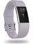 Akıllı Saat, Fitbit Charge 2 ile Uyumlu Bileklik Değiştirme Kayışı, Klasik ve Özel Ayarlanabilir Spor Bileklikler (Hafif Gri-L Lavanta) (Yurt Dışından) 1